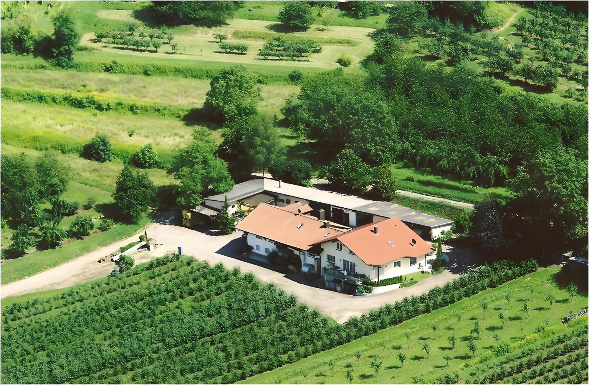 Weingut Ringwald Apartment Herbolzheim Exterior photo